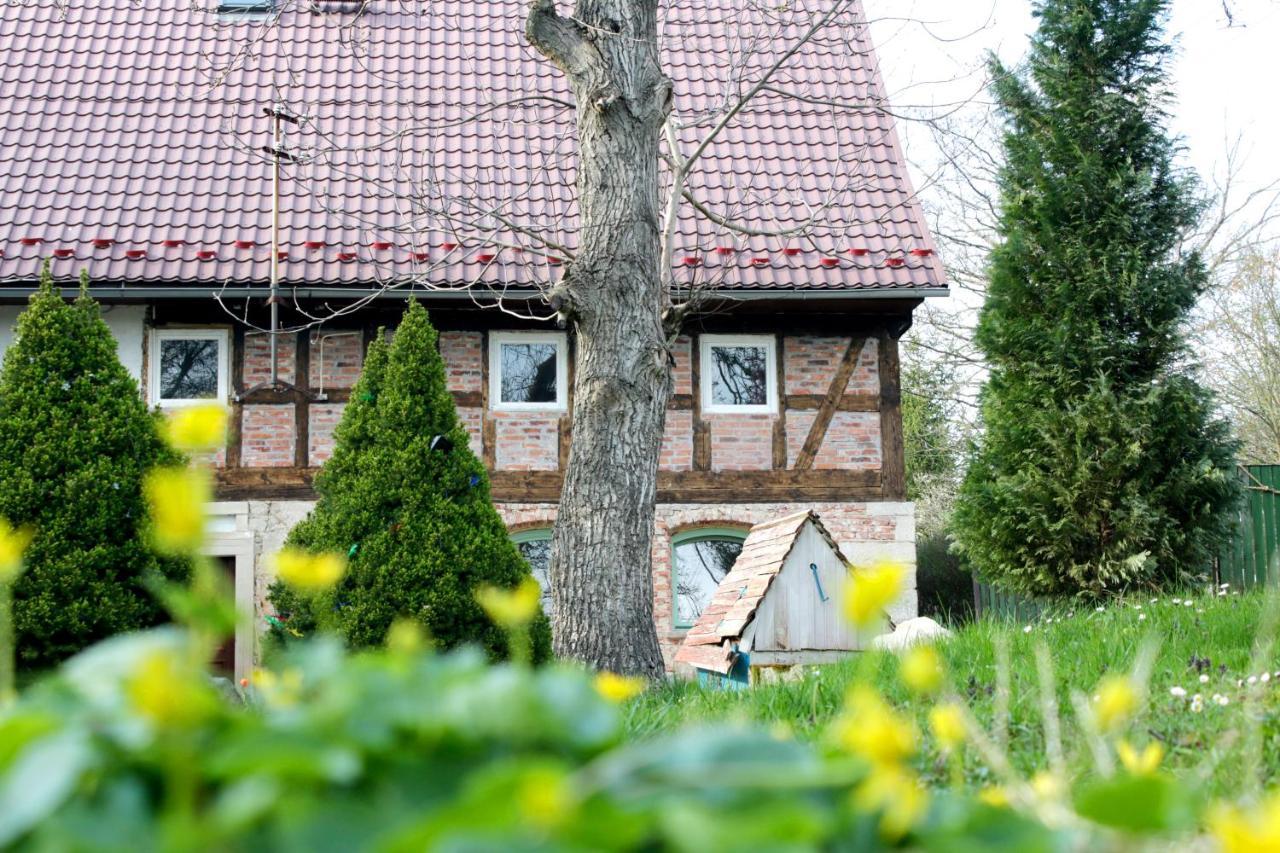 Malinowa Kuznia Bed & Breakfast Wlodzice Wielkie Exterior photo