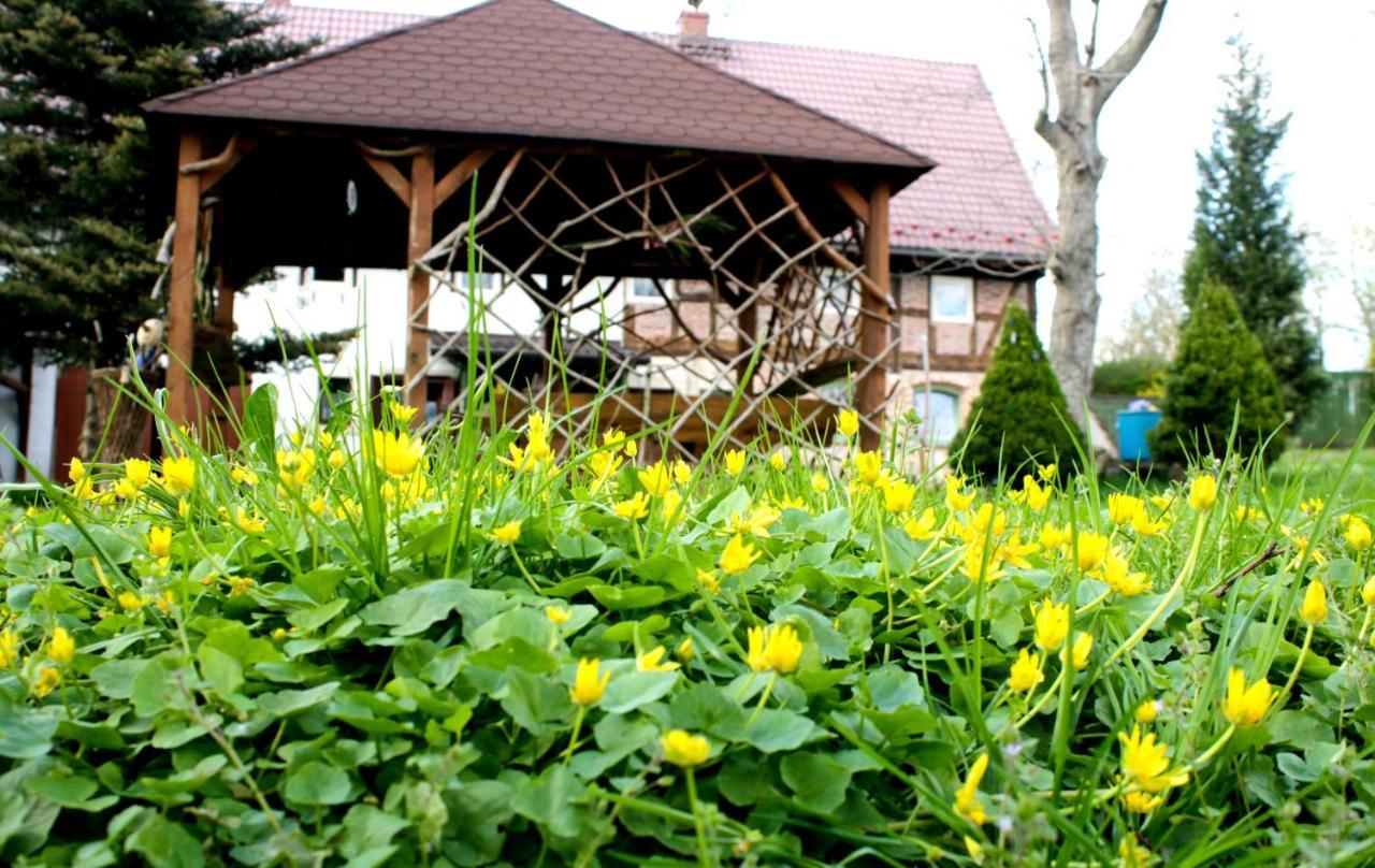 Malinowa Kuznia Bed & Breakfast Wlodzice Wielkie Exterior photo