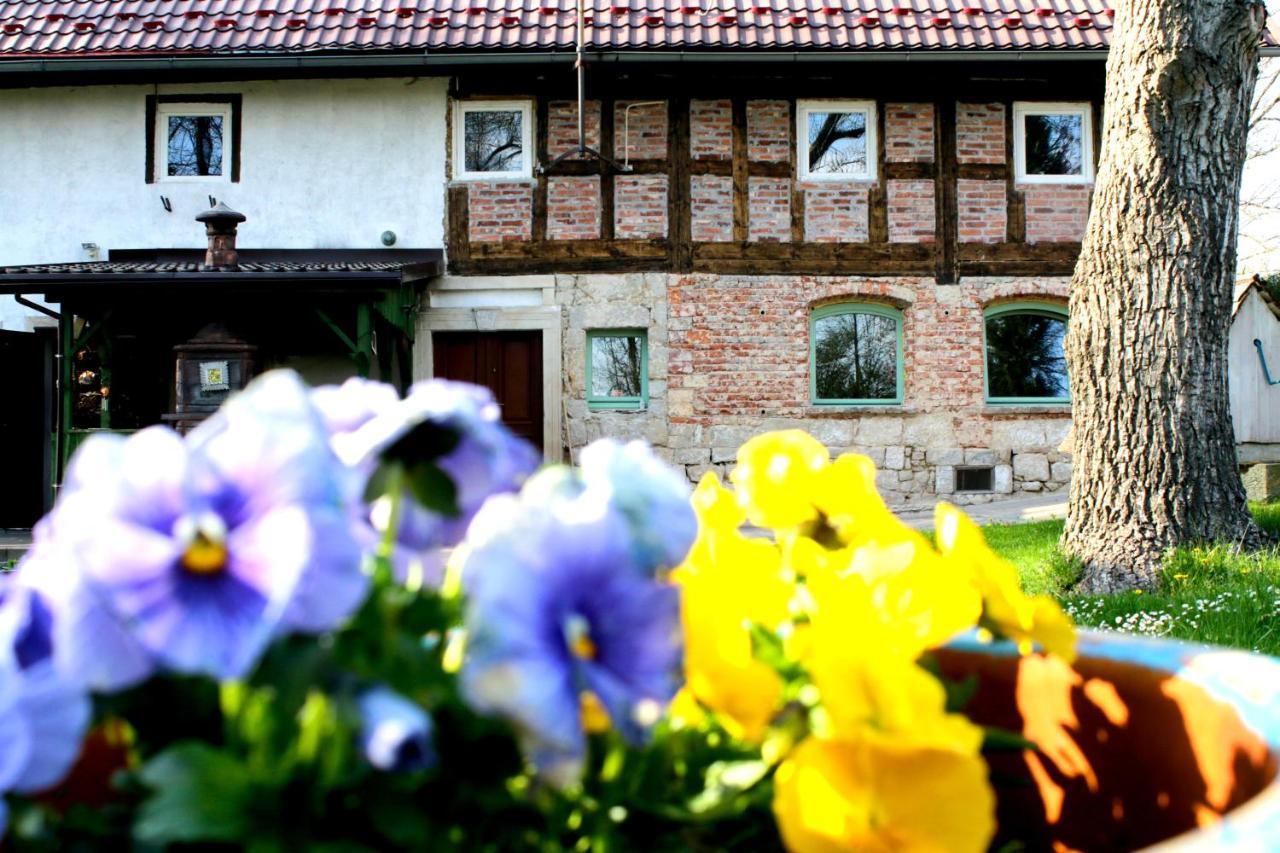 Malinowa Kuznia Bed & Breakfast Wlodzice Wielkie Exterior photo