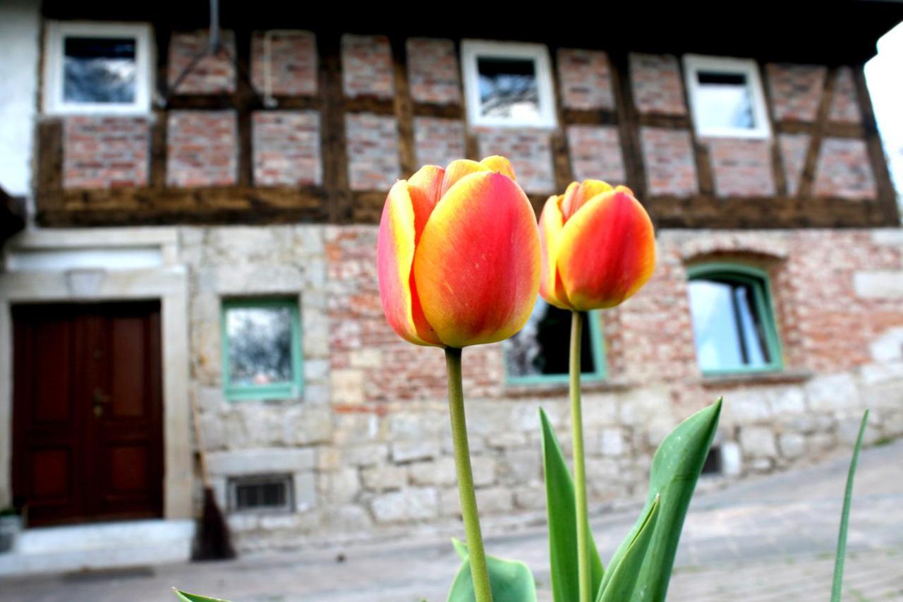 Malinowa Kuznia Bed & Breakfast Wlodzice Wielkie Exterior photo