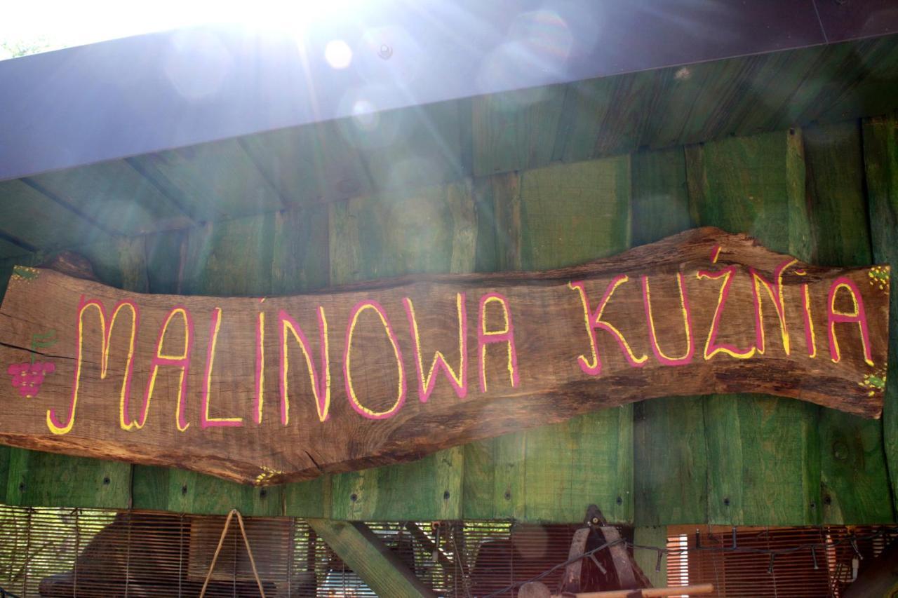 Malinowa Kuznia Bed & Breakfast Wlodzice Wielkie Exterior photo